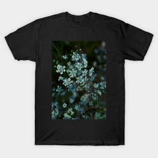 Cow Parsley T-Shirt